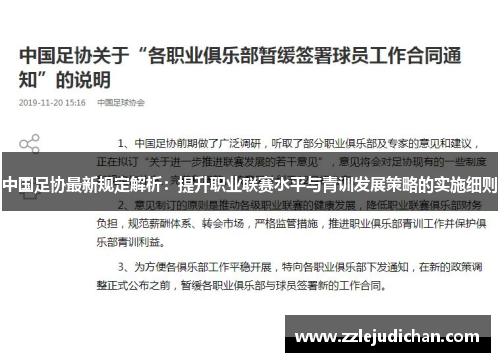 中国足协最新规定解析：提升职业联赛水平与青训发展策略的实施细则